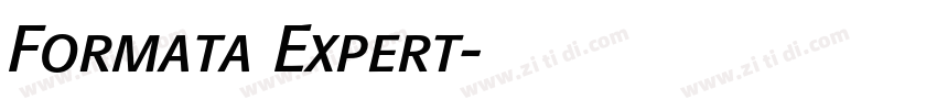 Formata Expert字体转换